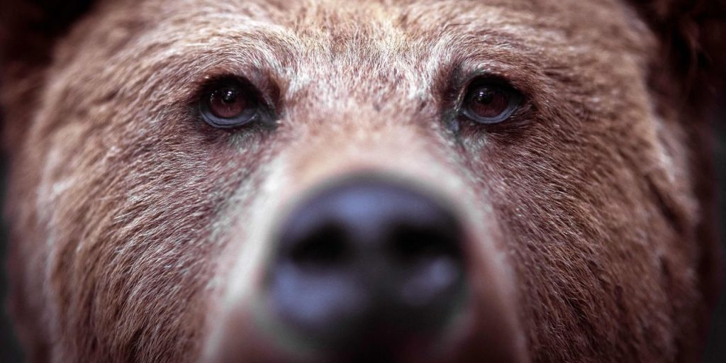 U.S. stocks may bounce this week, but summer selloff is only halfway done, analysts warn
