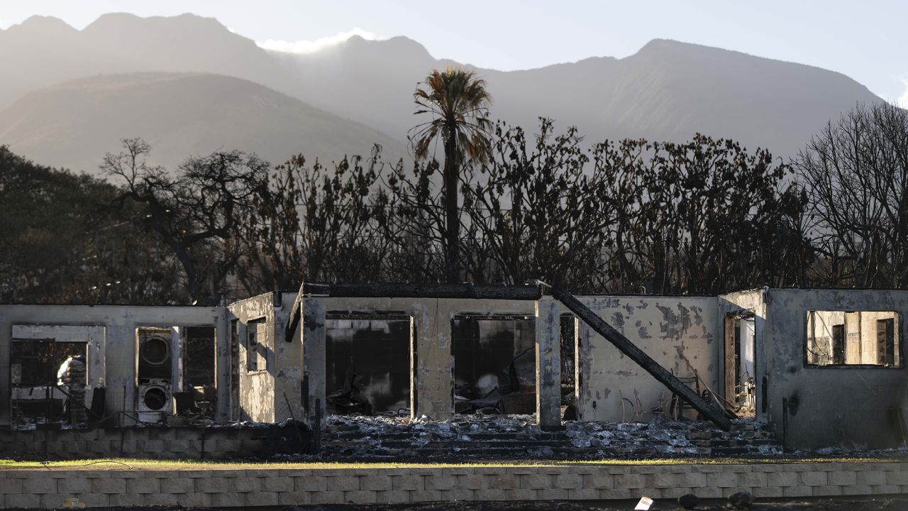 A palm tree stands behind a home destroyed in a wildfire in Lahaina, Hawaii, Friday, Aug. 18, 2023.