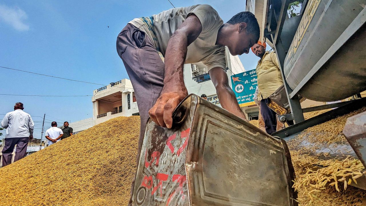 Workers in India sift through rice grains in capital New Delhi.