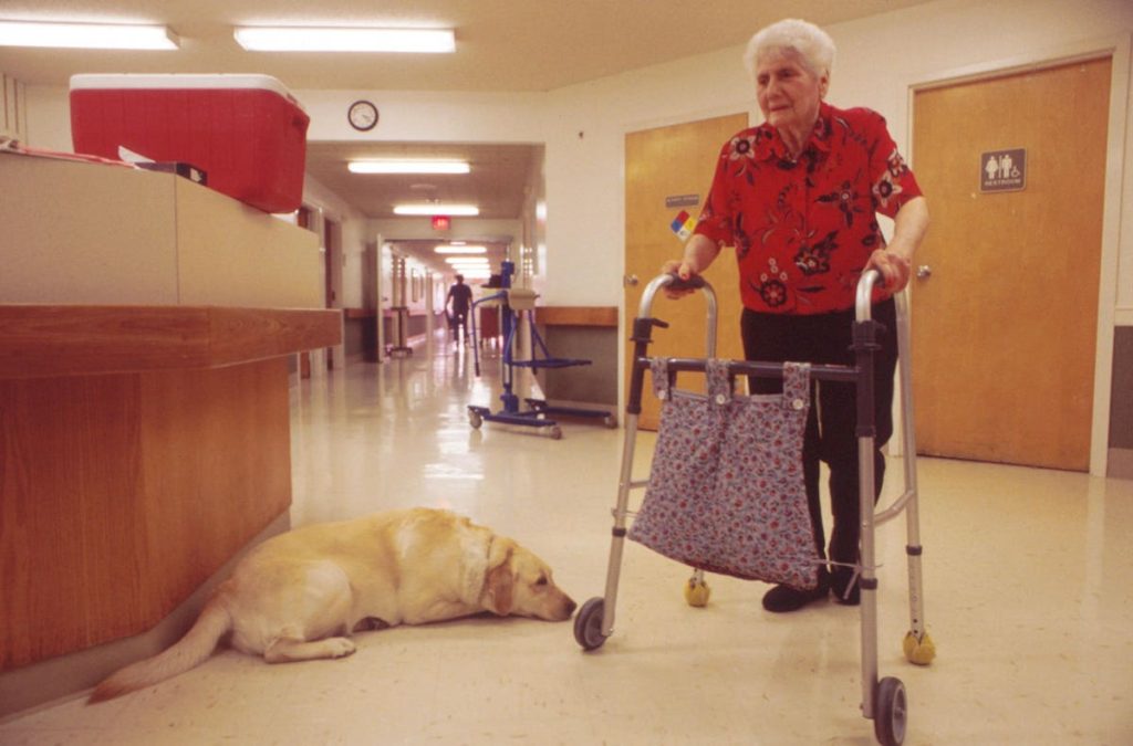 What New Nursing Home Staffing Rules Would Mean For Residents And Patients