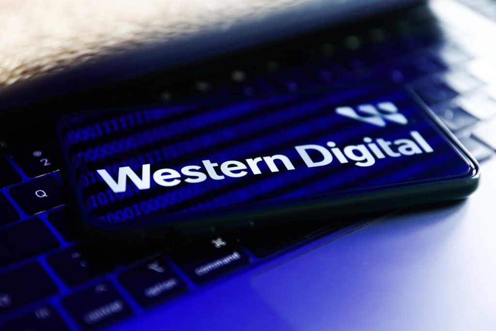 Which Is A Better Pick – Western Digital Stock Or Expedia?